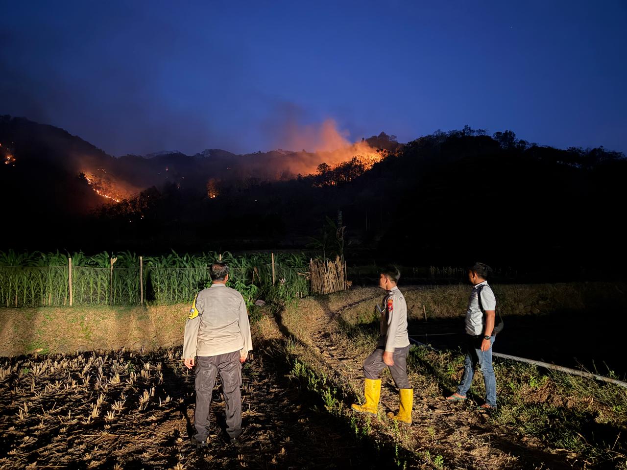 54 Karhutla Terjadi di Ponorogo, 189 Hektare Lahan Terbakar