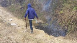 Lahan Tebu Dekat Sekolah Rakyat di Kediri Terbakar, Kerugian Ditaksir Rp59 Juta