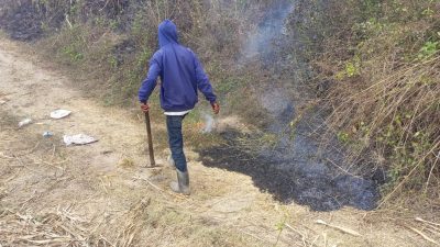 Lahan Tebu Dekat Sekolah Rakyat di Kediri Terbakar, Kerugian Ditaksir Rp59 Juta