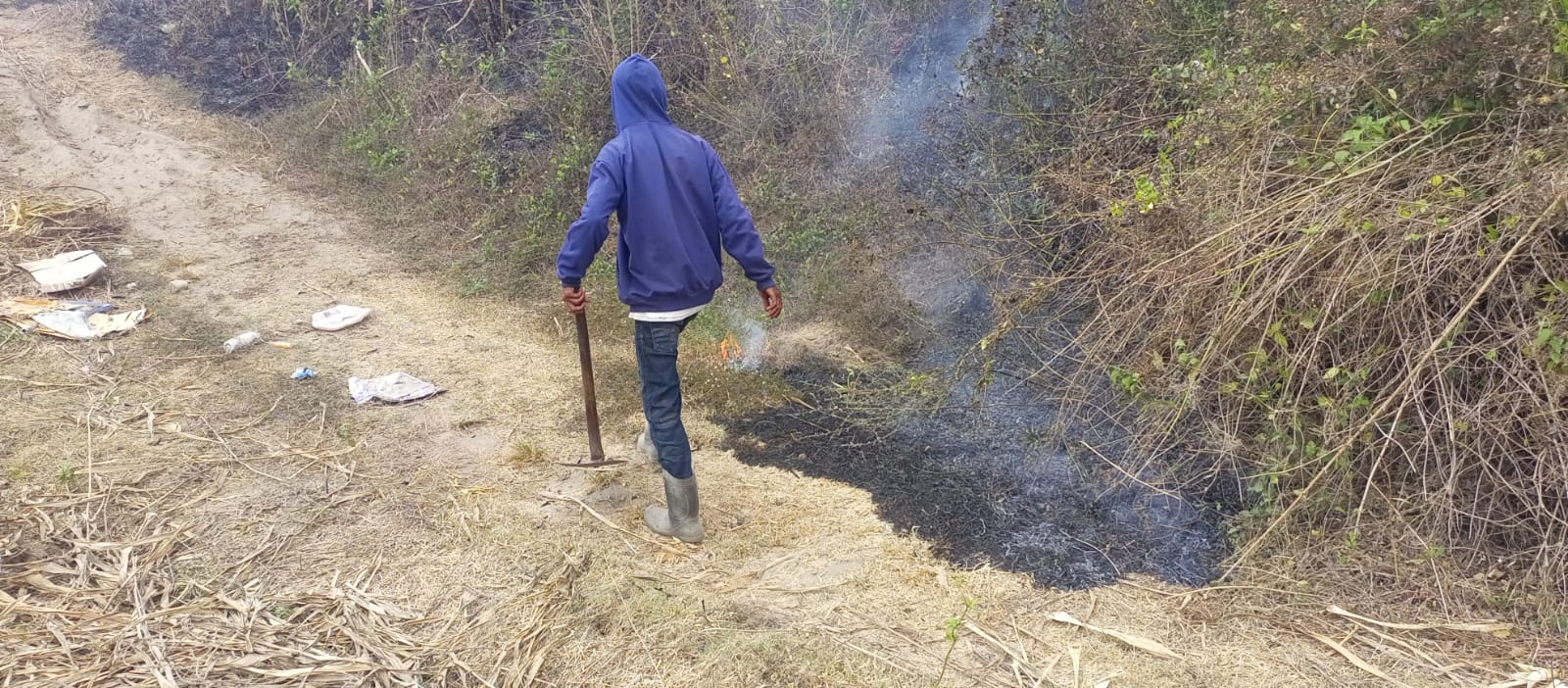 Lahan Tebu Dekat Sekolah Rakyat di Kediri Terbakar, Kerugian Ditaksir Rp59 Juta