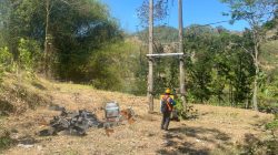 Dikira Petugas PLN, Empat Pelaku Curi Trafo Listrik di Slahung Ponorogo