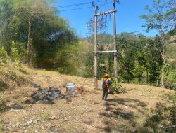 Dikira Petugas PLN, Empat Pelaku Curi Trafo Listrik di Slahung Ponorogo