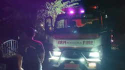 Dua Kebakaran Terjadi di Semen Kediri, Hutan Jati dan Rumpun Bambu Dilalap Api