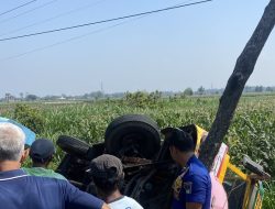 Kereta Kelinci Bawa 54 Penumpang Terguling di Sawah Plemahan, 10 Orang Luka