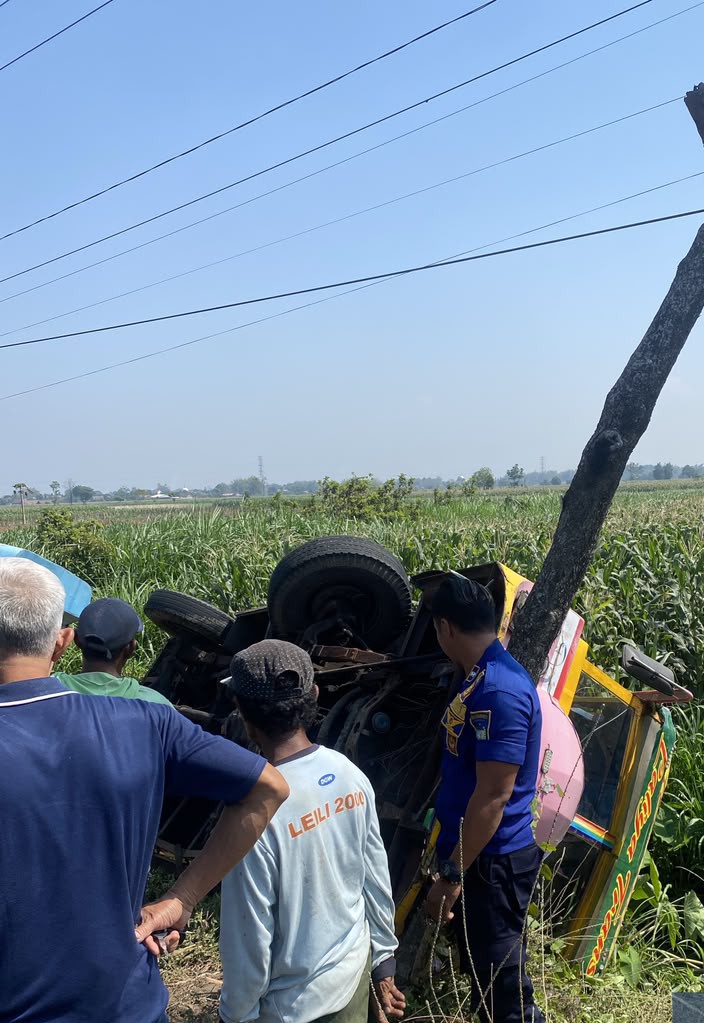 Kereta Kelinci Bawa 54 Penumpang Terguling di Sawah Plemahan, 10 Orang Luka