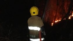 Dua Kebakaran Terjadi di Kabupaten Kediri, Tumpukan Sepah Tebu hingga Lahan Jati Terbakar