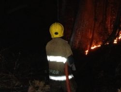 Dua Kebakaran Terjadi di Kabupaten Kediri, Tumpukan Sepah Tebu hingga Lahan Jati Terbakar