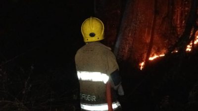 Dua Kebakaran Terjadi di Kabupaten Kediri, Tumpukan Sepah Tebu hingga Lahan Jati Terbakar