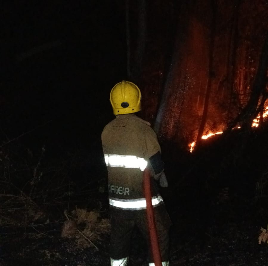 Dua Kebakaran Terjadi di Kabupaten Kediri, Tumpukan Sepah Tebu hingga Lahan Jati Terbakar