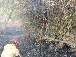 Lagi, Bakar Sampah Tak Ditunggu, Lahan Jati di Mojo Kediri Terbakar