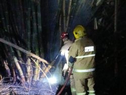 Bakar Sampah Ditinggal, Rumpun Bambu di Wates Kediri Dilalap Api