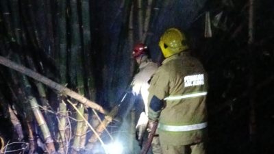 Bakar Sampah Ditinggal, Rumpun Bambu di Wates Kediri Dilalap Api