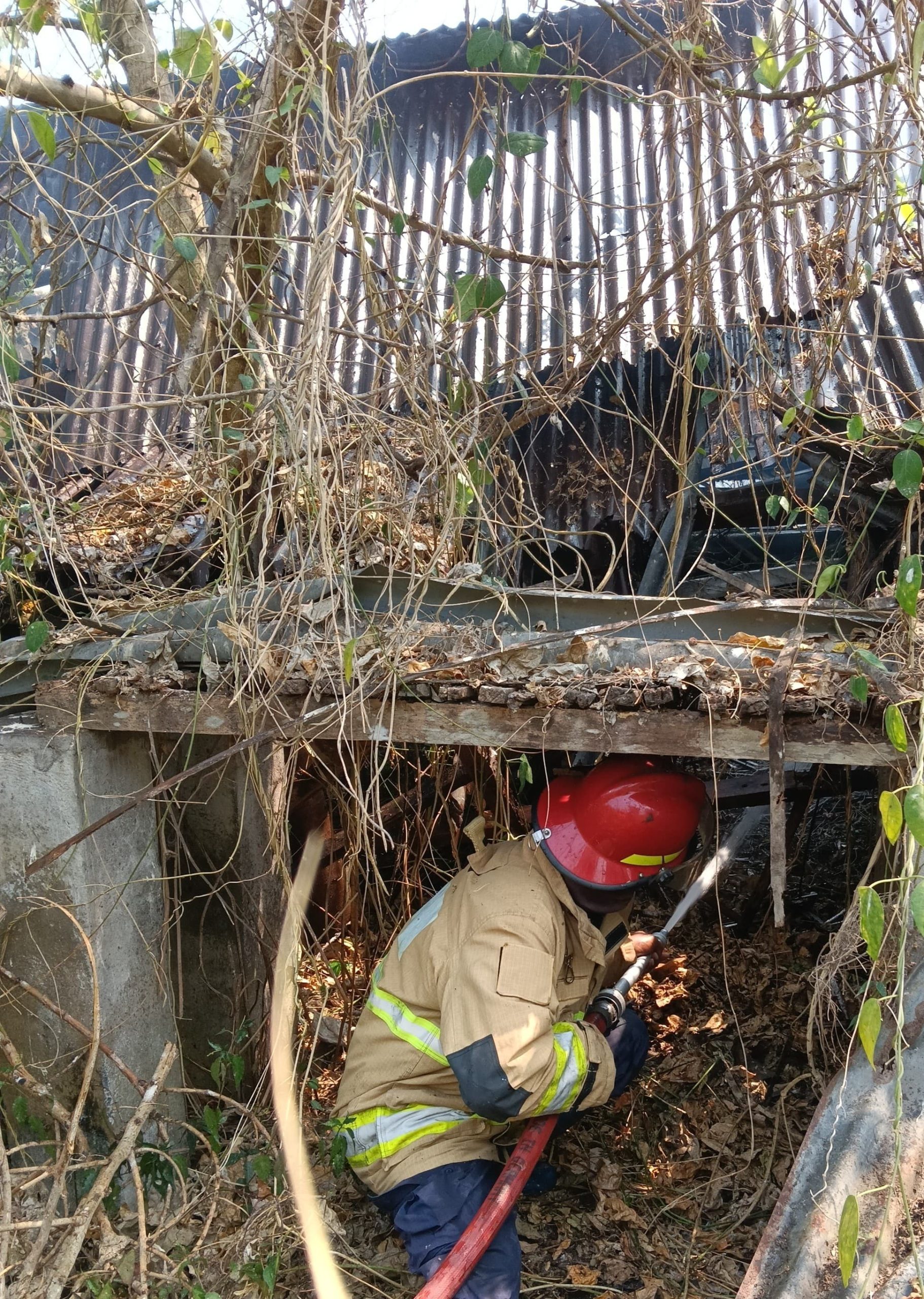 Bekas Kandang Ayam Terbakar di Pare Kediri, Damkar Gerak Cepat Bertindak