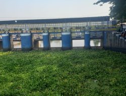 Dam Baduk Nganjuk Dipenuhi Eceng Gondok, Pemancing Keluhkan Sulit Cari Ikan