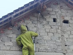 Tawon Vespa Ganggu Warga, Damkar Kediri Evakuasi Sarang di Atap Rumah