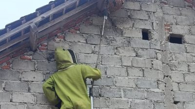 Tawon Vespa Ganggu Warga, Damkar Kediri Evakuasi Sarang di Atap Rumah