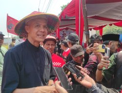 Panen Raya Padi Genjah di Bareng Jombang, Ganjar: 10 Ton per Hektare Luar Biasa