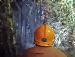 Rumpun Bambu dan Lahan Jati di Selodono Ringinrejo Terbakar