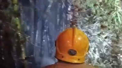 Rumpun Bambu dan Lahan Jati di Selodono Ringinrejo Terbakar