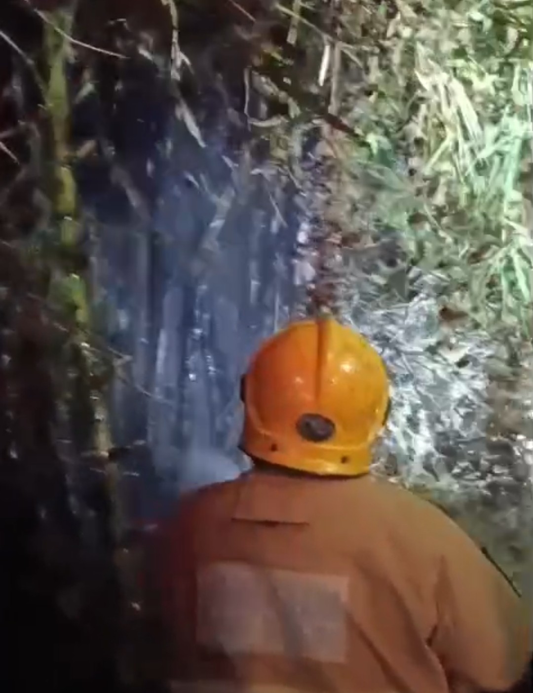 Rumpun Bambu dan Lahan Jati di Selodono Ringinrejo Terbakar
