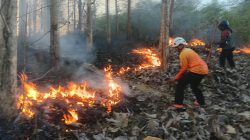 TNI dan Tim Gabungan Padamkan Karhutla di Sutojayan, Dua Hektar Lahan Terbakar