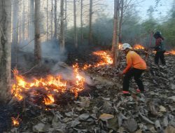 TNI dan Tim Gabungan Padamkan Karhutla di Sutojayan, Dua Hektar Lahan Terbakar