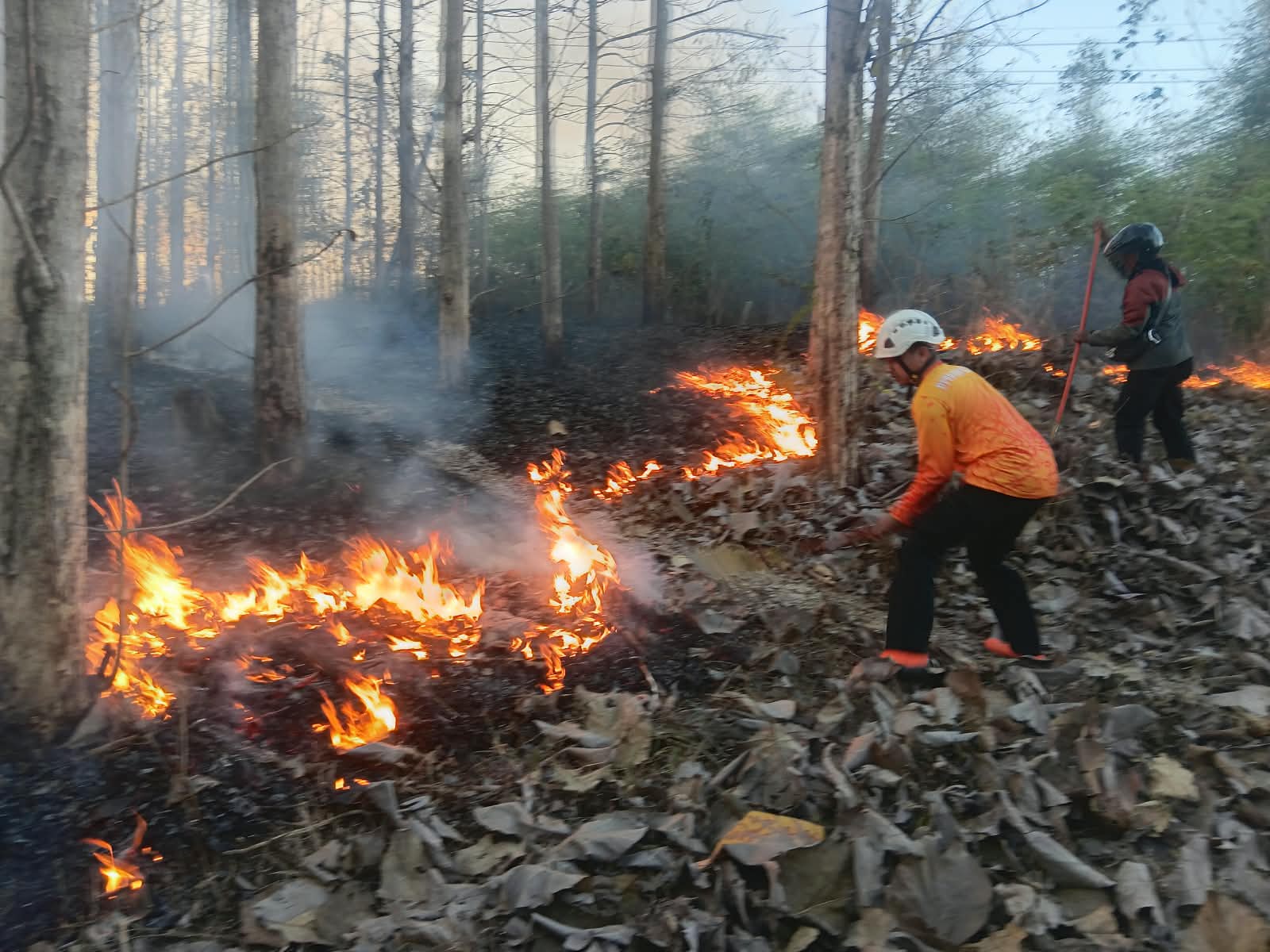 TNI dan Tim Gabungan Padamkan Karhutla di Sutojayan, Dua Hektar Lahan Terbakar