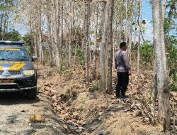 Cegah Karhutla, Polsek Binangun Intensifkan Patroli di Kawasan Perhutani