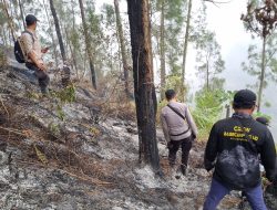 Ratusan Personel Gabungan Padamkan Kebakaran di Gunung Buthak