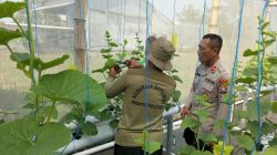 Kapolsek Gandusari Pantau Tanaman P2L, Dorong Pemanfaatan Lahan untuk Ketahanan Pangan
