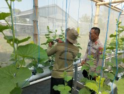 Kapolsek Gandusari Pantau Tanaman P2L, Dorong Pemanfaatan Lahan untuk Ketahanan Pangan
