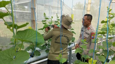 Kapolsek Gandusari Pantau Tanaman P2L, Dorong Pemanfaatan Lahan untuk Ketahanan Pangan