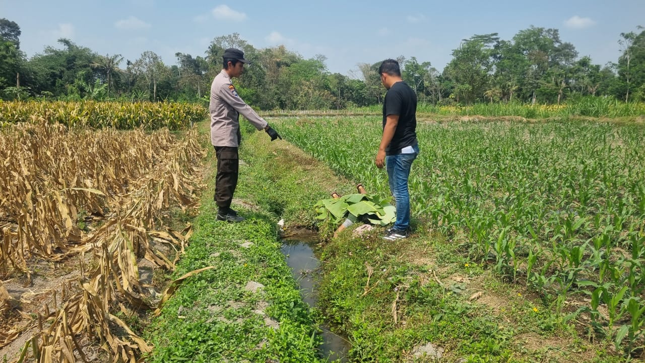 Sakit Stroke, PNS Ditemukan Meninggal Dunia di Tengah Sawah