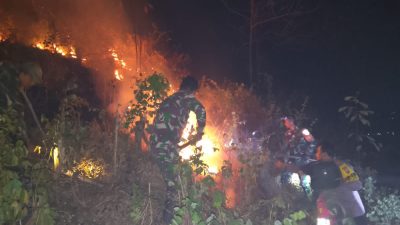 Lahan Jati-Alpukat 4 Hektare Terbakar, Tim Gabungan Turun Padamkan