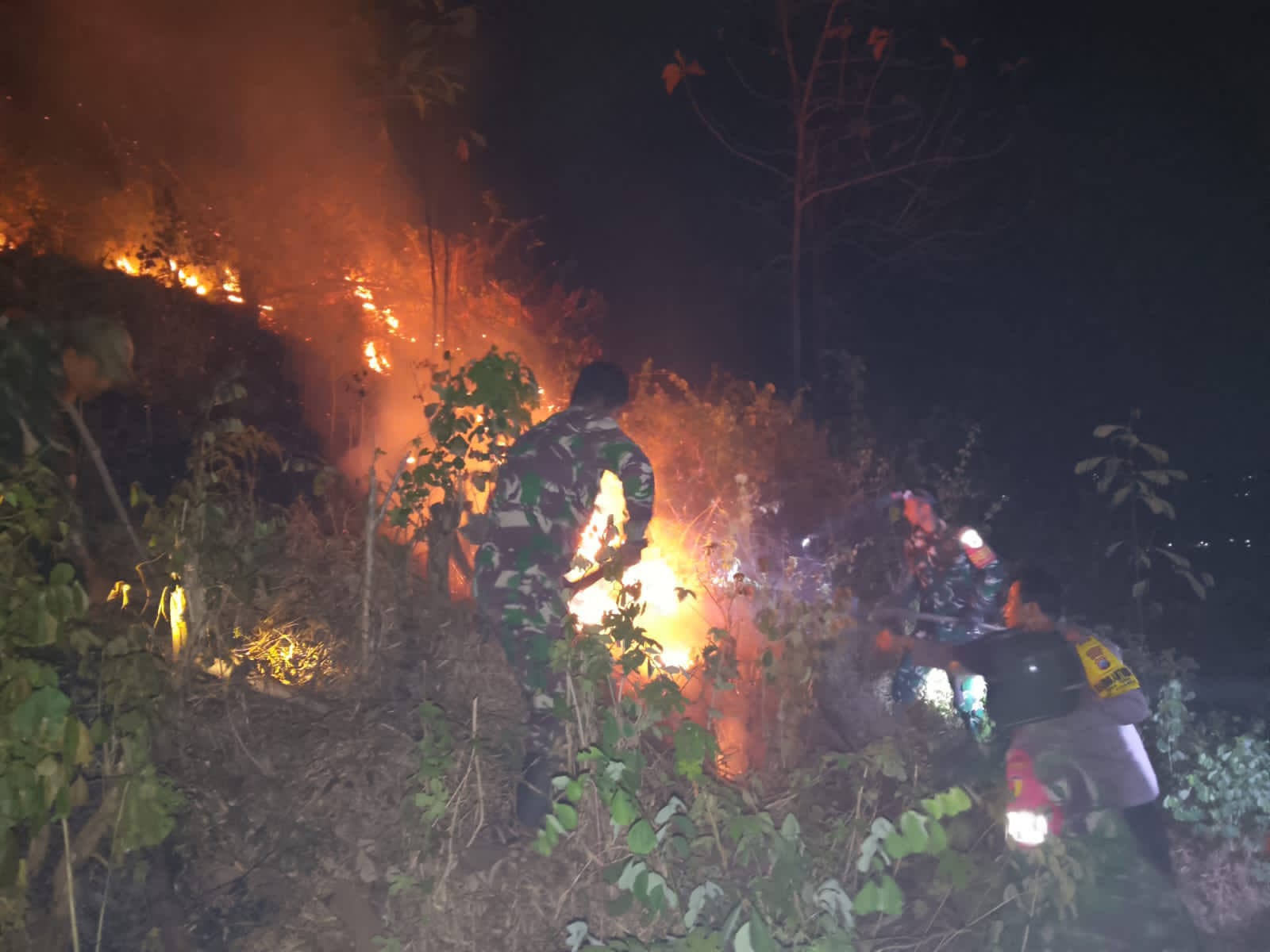 Lahan Jati-Alpukat 4 Hektare Terbakar, Tim Gabungan Turun Padamkan