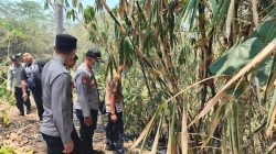 Padamkan Api di Kebun Bambu, Kakek 81 Tahun di Kesamben Blitar Tewas Terbakar