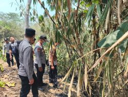 Padamkan Api di Kebun Bambu, Kakek 81 Tahun di Kesamben Blitar Tewas Terbakar