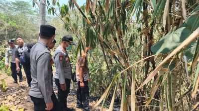 Padamkan Api di Kebun Bambu, Kakek 81 Tahun di Kesamben Blitar Tewas Terbakar