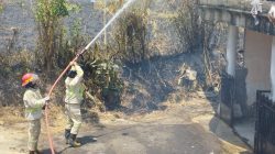 Api Pembakaran Daduk Tebu Merembet ke Perumahan, Rumah 2 Lantai di Karangploso Terbakar