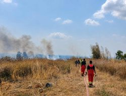 Puntung Rokok Pemetik Mangga Picu Kebakaran, Dua Hektare Lahan di Tarokan Kediri Terbakar