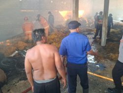 Gudang Tembakau di Sukorame Lamongan Ludes Terbakar, Kerugian Rp250 Juta