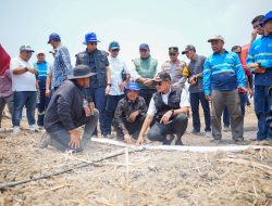 Bongkar Ratoon dan Mekanisasi Digenjot, Lamongan Perkuat Produksi Tebu untuk Swasembada Gula