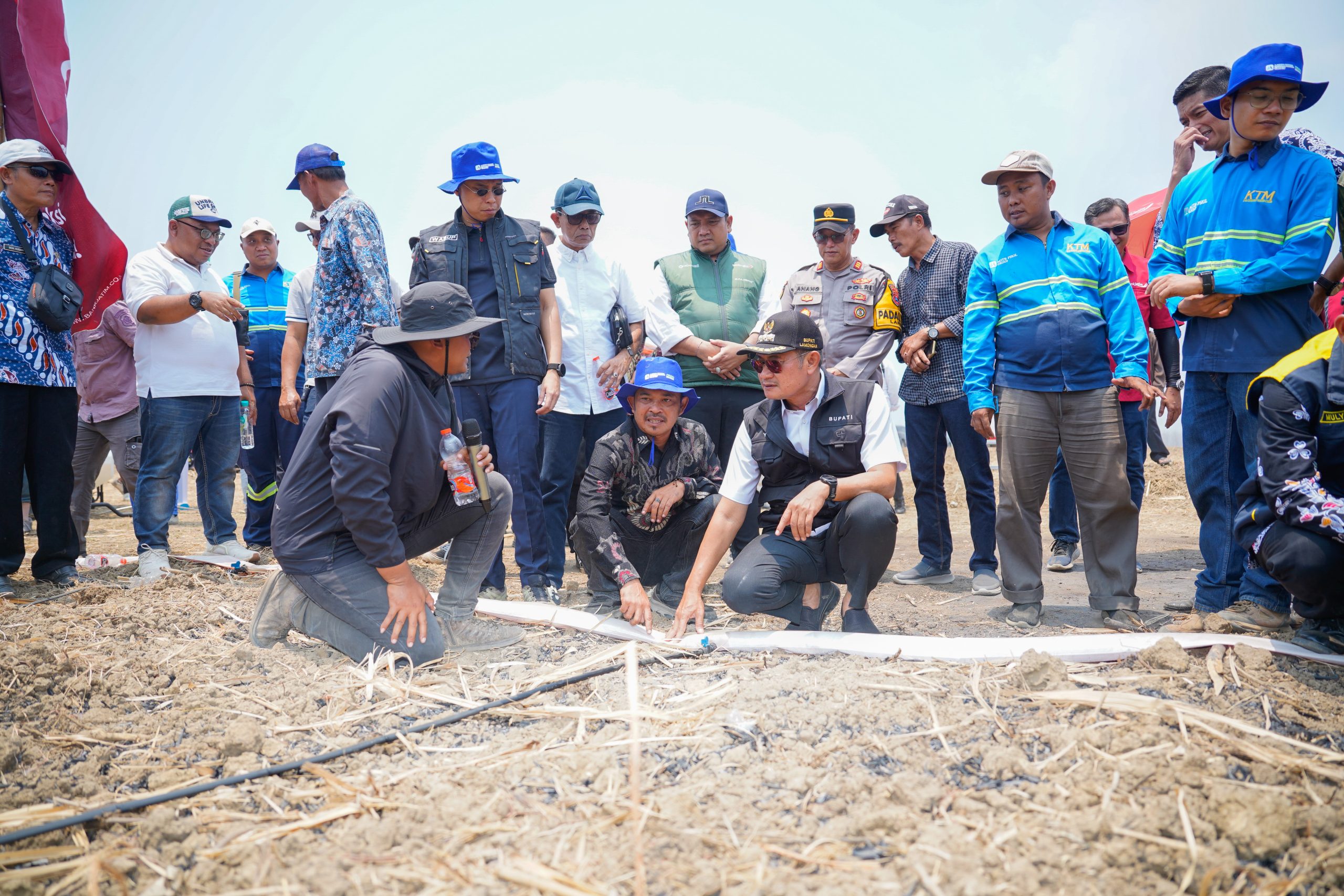 Bongkar Ratoon dan Mekanisasi Digenjot, Lamongan Perkuat Produksi Tebu untuk Swasembada Gula