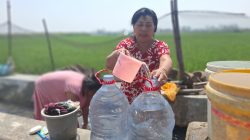 Pompa Irigasi Diduga Bikin Sumur Warga Mojowarno Kering, Ibu-Ibu Terpaksa Ambil Air di Saluran Sawah