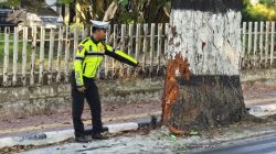 Pemuda 18 Tahun Meninggal Setelah Tabrak Pohon di Jalan Ir Soekarno Batu