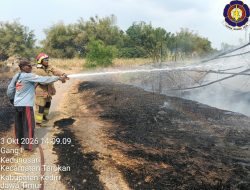 Sabtu Kelabu, Tujuh Kebakaran Terjadi di Kabupaten Kediri, Kerugian Capai Ratusan Juta