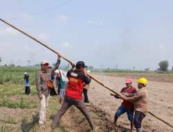 Dispertabun Kediri Salurkan 400 Jaring Perangkap Uret untuk Petani Tebu