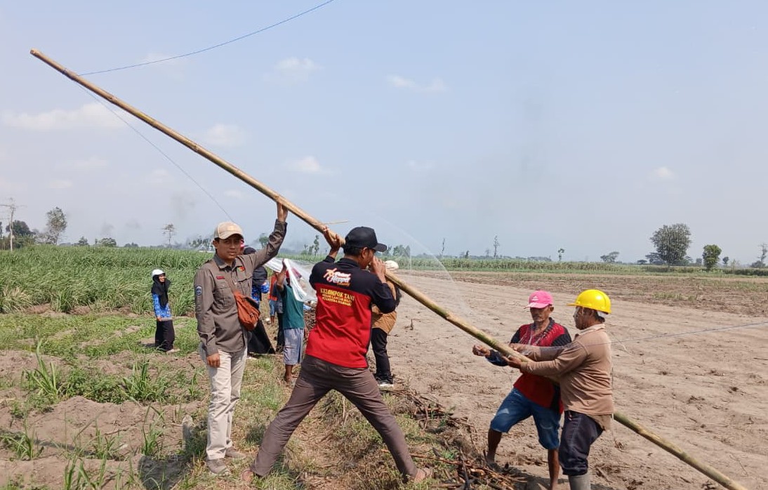 Dispertabun Kediri Salurkan 400 Jaring Perangkap Uret untuk Petani Tebu