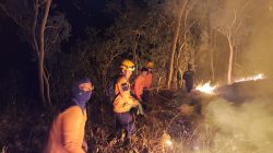 Karhutla di Ponorogo Meluas hingga 341,85 Hektare, Tersebar di 56 Desa