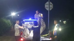 Perempuan Lansia di Purwodadi Kras Tewas Tertabrak KA Brantas